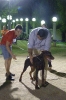 Concurso Nacional Canino de Atarfe Julio 2011