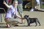 Concurso Nacional Canino de Atarfe Julio 2011