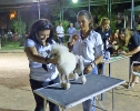 Concurso Nacional Canino de Atarfe Julio 2011