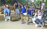 Concurso Nacional Canino de Atarfe Julio 2011