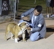 Concurso Nacional Canino de Atarfe Julio 2011