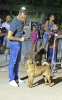 Concurso Nacional Canino de Atarfe Julio 2011
