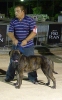 Concurso Nacional Canino de Atarfe Julio 2011