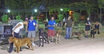 Concurso Nacional Canino de Atarfe Julio 2011