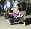 Concurso Nacional Canino de Atarfe Julio 2011