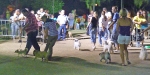 Concurso Nacional Canino de Atarfe Julio 2011