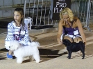 Concurso Nacional Canino de Atarfe Julio 2011