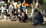 Concurso Nacional Canino de Atarfe Julio 2011