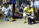 Concurso Nacional Canino de Atarfe Julio 2011