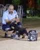 Concurso Nacional Canino de Atarfe Julio 2011