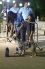 Concurso Nacional Canino de Atarfe Julio 2011