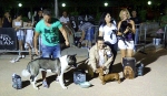 Concurso Nacional Canino de Atarfe Julio 2011