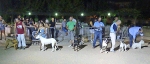 Concurso Nacional Canino de Atarfe Julio 2011