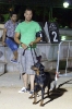 Concurso Nacional Canino de Atarfe Julio 2011