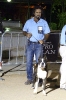 Concurso Nacional Canino de Atarfe Julio 2011