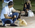 Concurso Nacional Canino de Atarfe Julio 2011