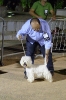 Concurso Nacional Canino de Atarfe Julio 2011