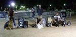 Concurso Nacional Canino de Atarfe Julio 2011