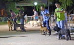 Concurso Nacional Canino de Atarfe Julio 2011