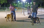 Concurso Nacional Canino de Atarfe Julio 2011