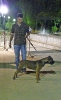 Concurso Nacional Canino de Atarfe Julio 2011