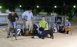 Concurso Nacional Canino de Atarfe Julio 2011