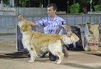 Concurso Nacional Canino de Atarfe Julio 2011