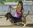 Concurso Nacional Canino de Atarfe Julio 2011