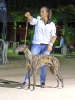 Concurso Nacional Canino de Atarfe Julio 2011