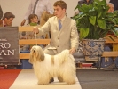Internacional Canina 2011