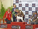 Internacional Canina 2011 Granada