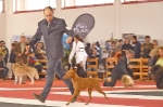Internacional Canina Granada 2011