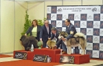 Internacional Canina Granada 2011