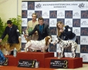 Internacional Canina 2011