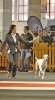 Internacional Canina Granada 2011