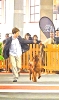 Internacional Canina Granada 2011