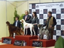 Internacional Canina Granada 2011