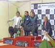 Internacional Canina Granada 2011