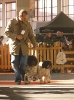 Internacional Canina Granada 2011