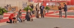 Exposición Nacional Canina Granada 2011