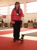 Exposición Nacional Canina Granada 2011