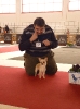 Exposición Nacional Canina Granada 2011