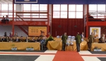 Exposición Nacional Canina Granada 2011