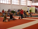 Exposición Nacional Canina Granada 2011