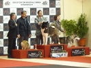 Exposición Nacional Canina Granada 2011