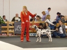 Exposición Nacional Canina Granada 2011