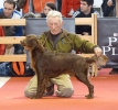 Exposición Nacional Canina Granada 2011