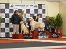 Exposición Nacional Canina Granada 2011