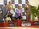 Exposición Nacional Canina Granada 2011