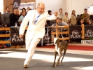 Exposición Nacional Canina Granada 2011